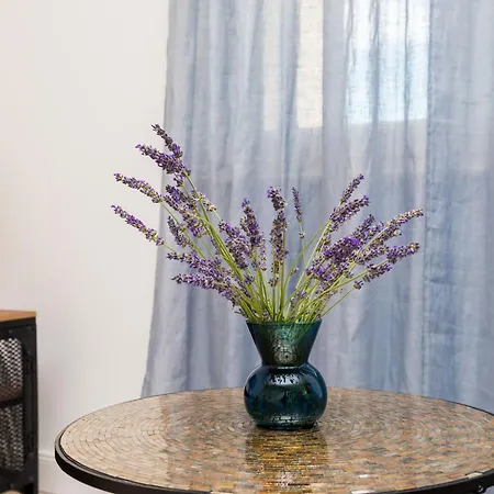 Villa 3 Bedroom With Terrace And Pool Zaton Doli