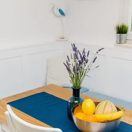 3 Bedroom With Terrace And Pool Villa Zaton Doli